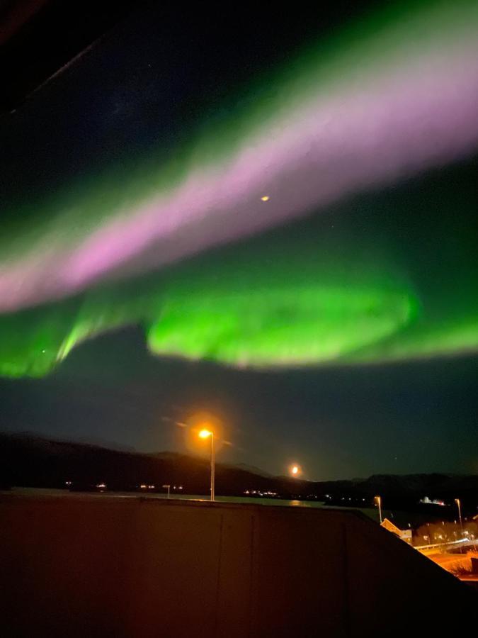 Lyngen, Mackay Appartment, Lyngen Lyngseidet Экстерьер фото